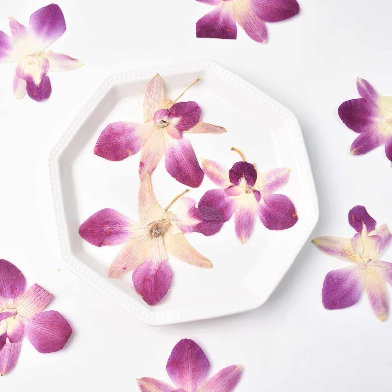 Resin Art Baby - 4 stuks, echte geperste vlinderorchideebloemen, doe-het-zelf