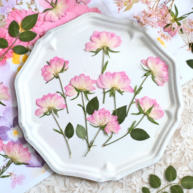 Resin Art Baby - 12 stuks, echte gedroogde geperste bloemen