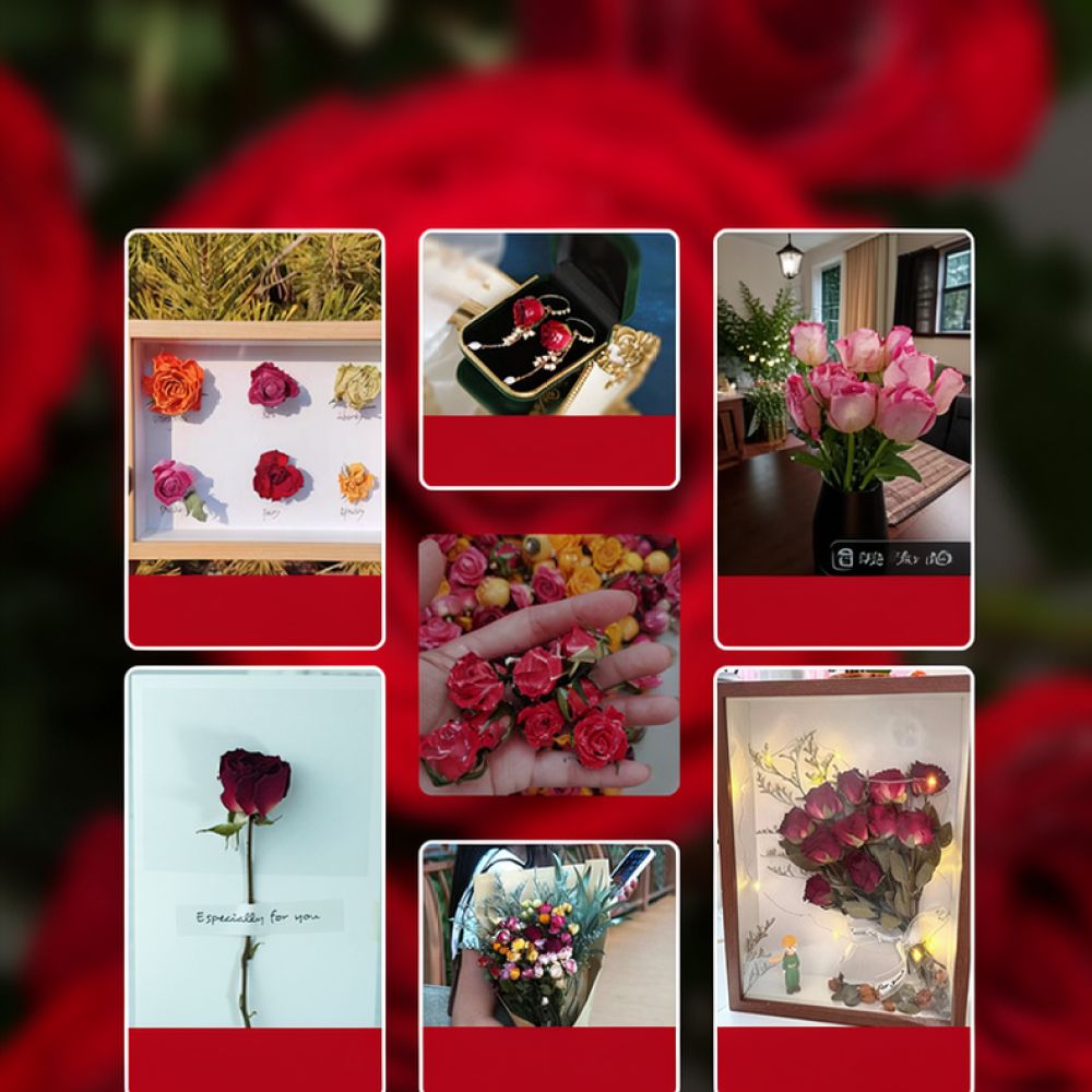 Resin Art Rose - Natuurlijk gedroogd rozenboeket, bubbelrozen, echte planten,