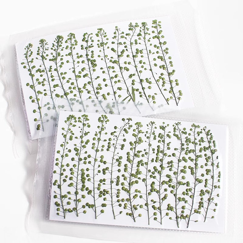 Natuurlijke kleur groene bel g - Resin Art Baby recensie en prijs