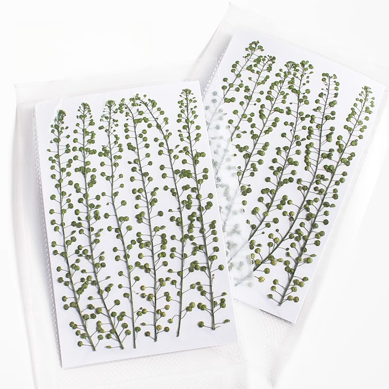Natuurlijke kleur groene bel g - Resin Art Baby recensie en prijs