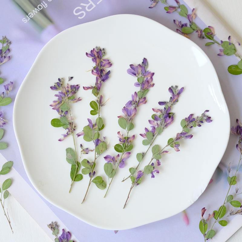 6 stuks, natuurlijke Lespedeza - Resin Art Baby recensie en prijs