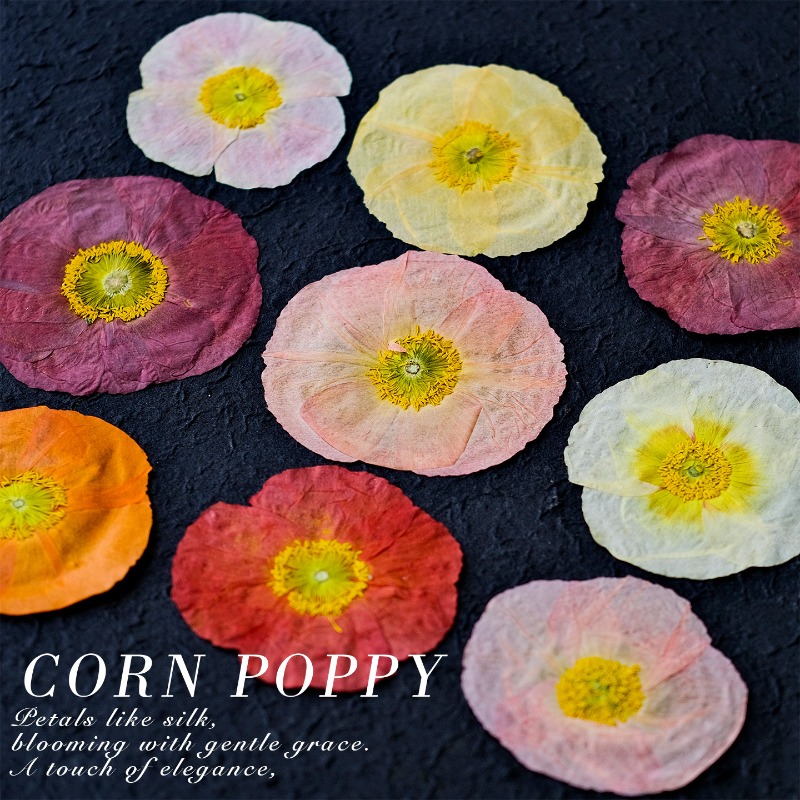 1 stks, natuur veld klaproos g - Resin Art Baby recensie en prijs