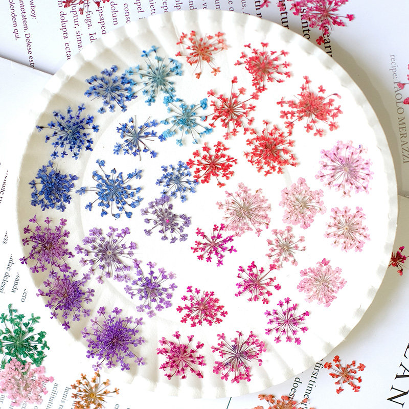 24 stuks, 2-2,5 cm, natuurlijk - Resin Art Baby recensie en prijs