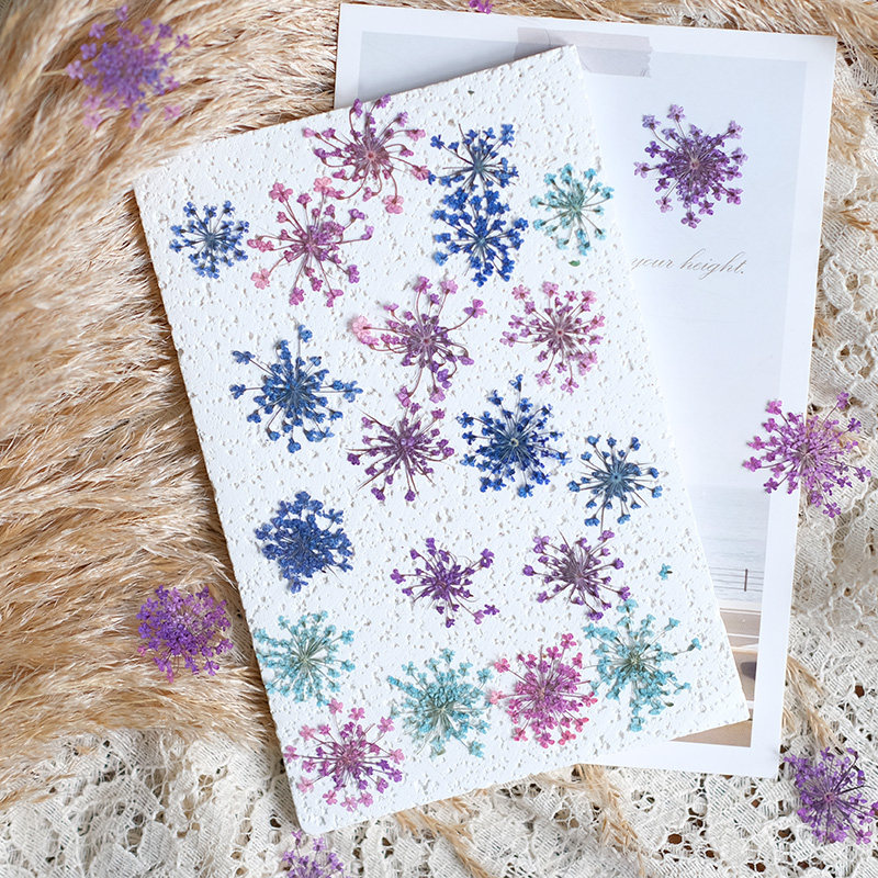 24 stuks, 2-2,5 cm, natuurlijk - Resin Art Baby recensie en prijs