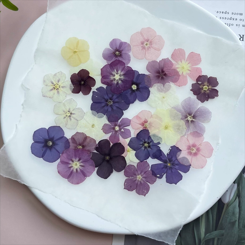 12 stuks, semi-transparante ni - Resin Art Baby recensie en prijs