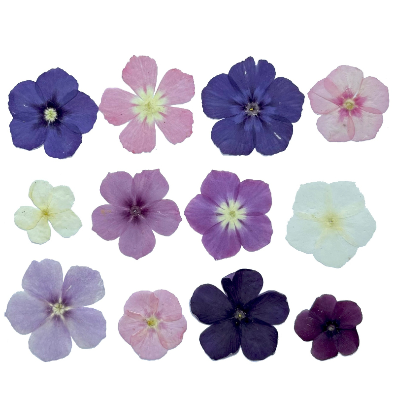 12 stuks, semi-transparante ni - Resin Art Baby recensie en prijs