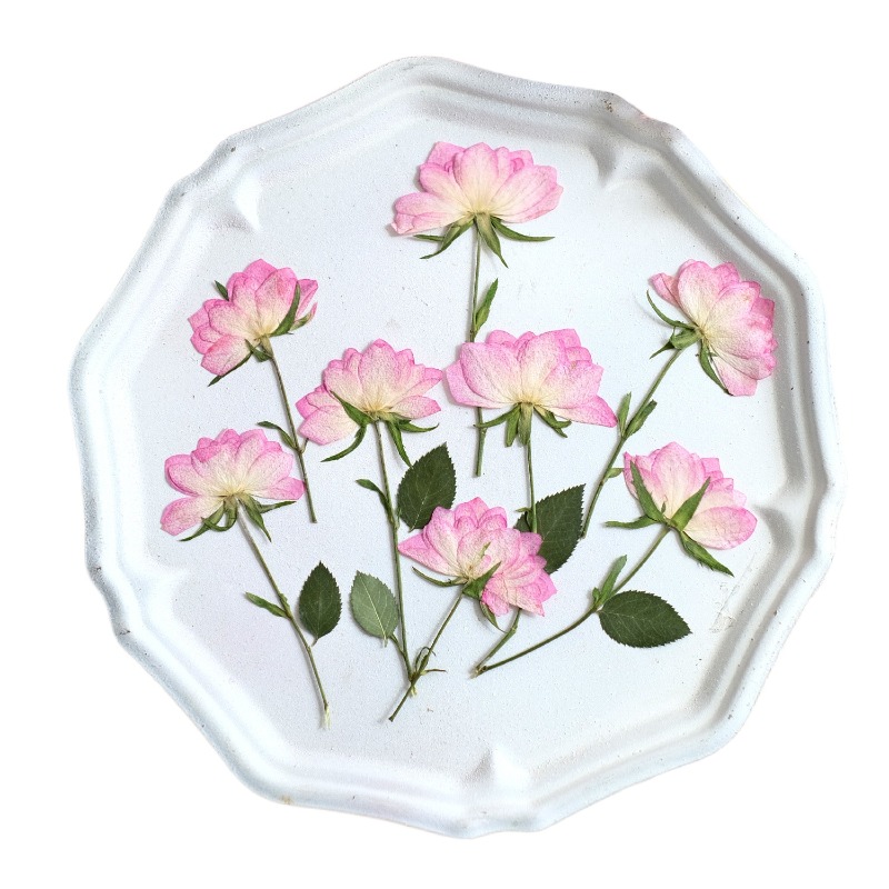12 stuks, echte gedroogde gepe - Resin Art Baby recensie en prijs