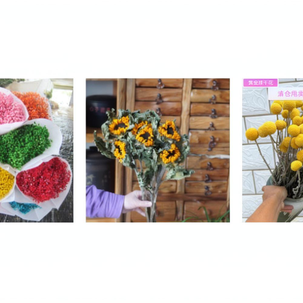 Natuurlijk gedroogd rozenboeke - Resin Art Rose recensie en prijs